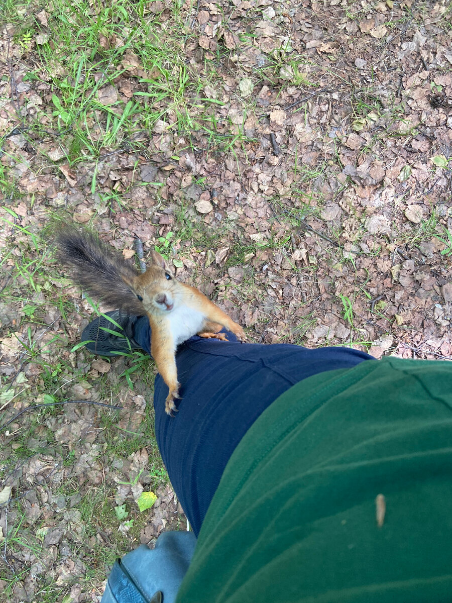 Интроверсия и любовь к природе ;)