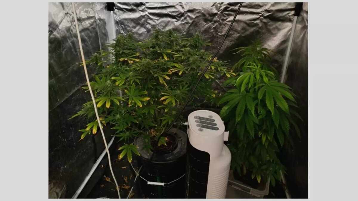     Источник: пресс-служба МВД по УР