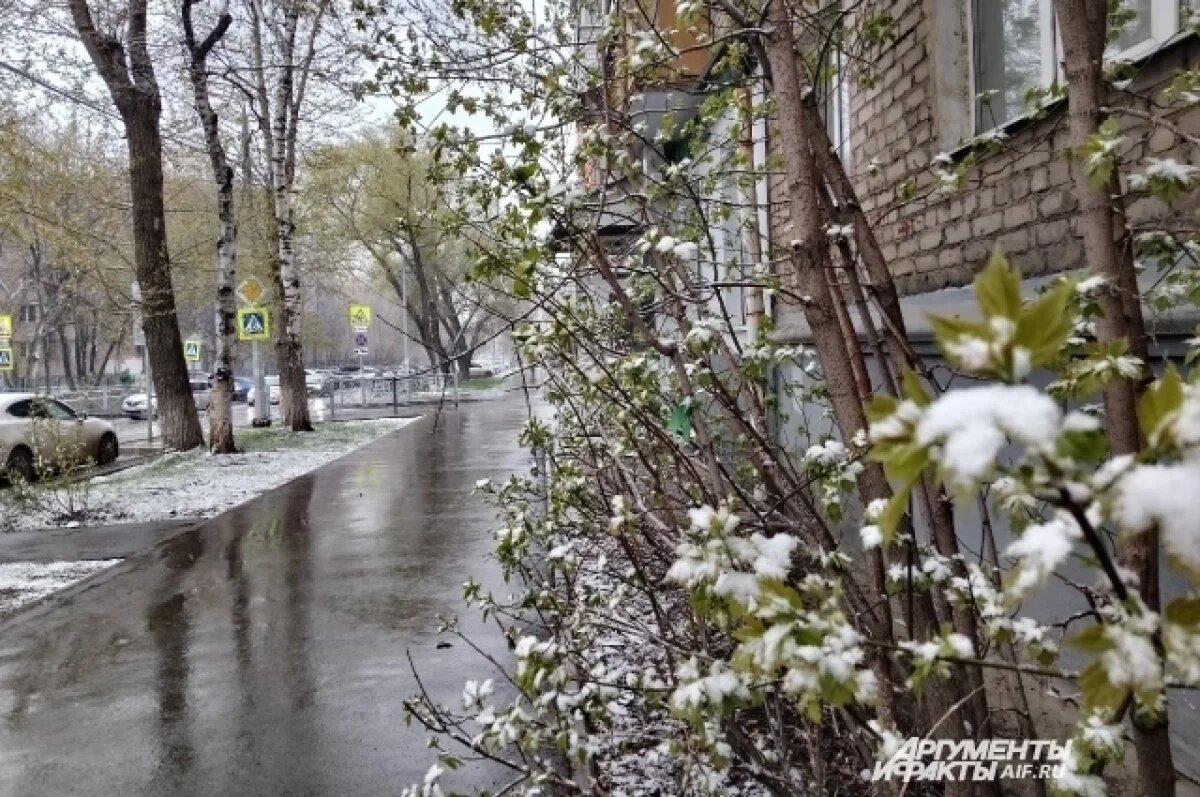    Сильный дождь с мокрым снегом обрушится на Пермский край 12 мая