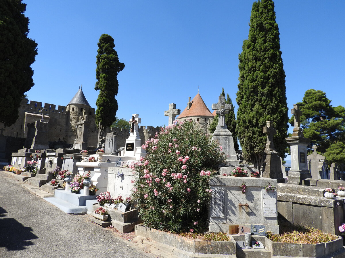 2500 лет истории