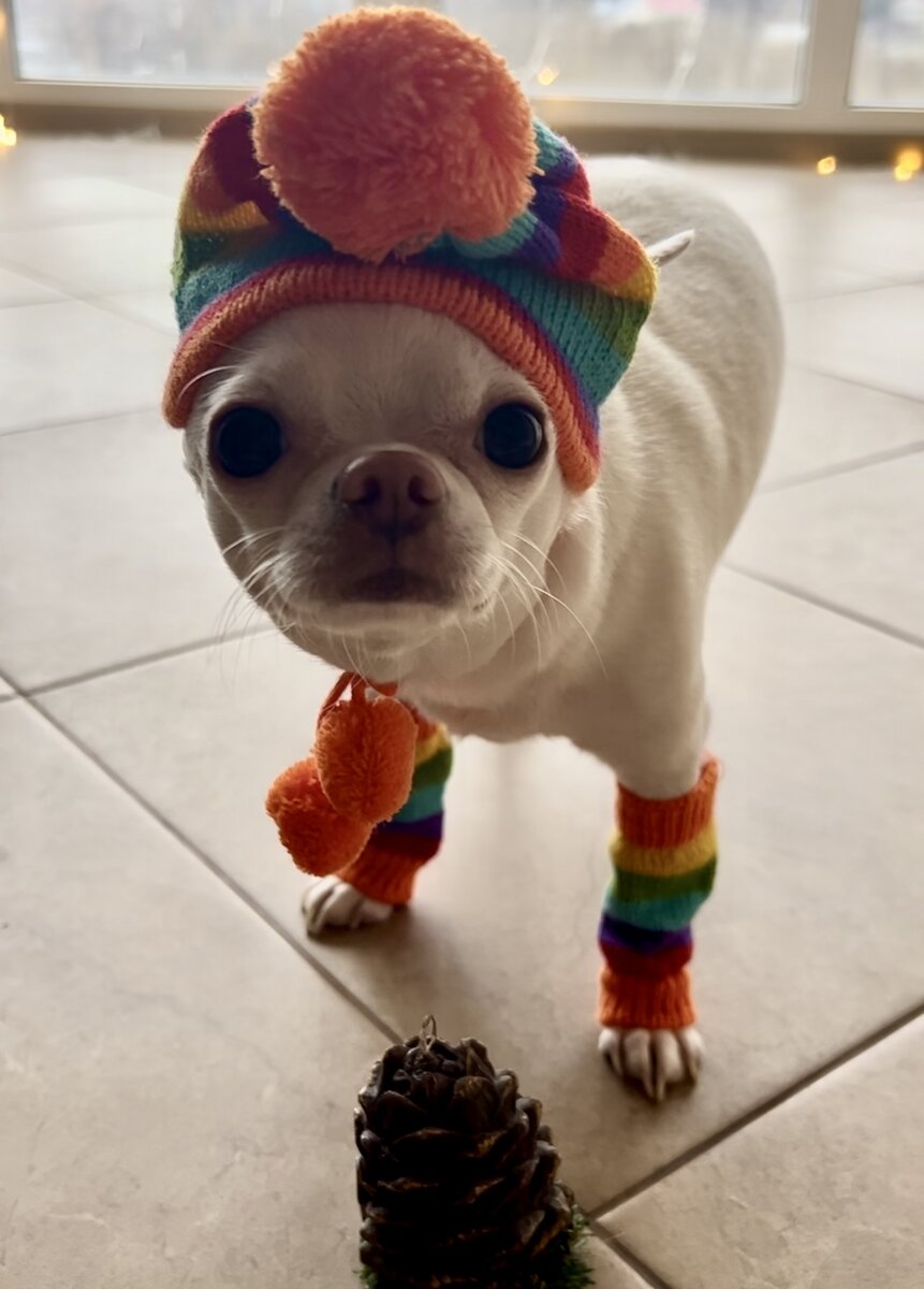 Наша Бусинка . Фото автора. 