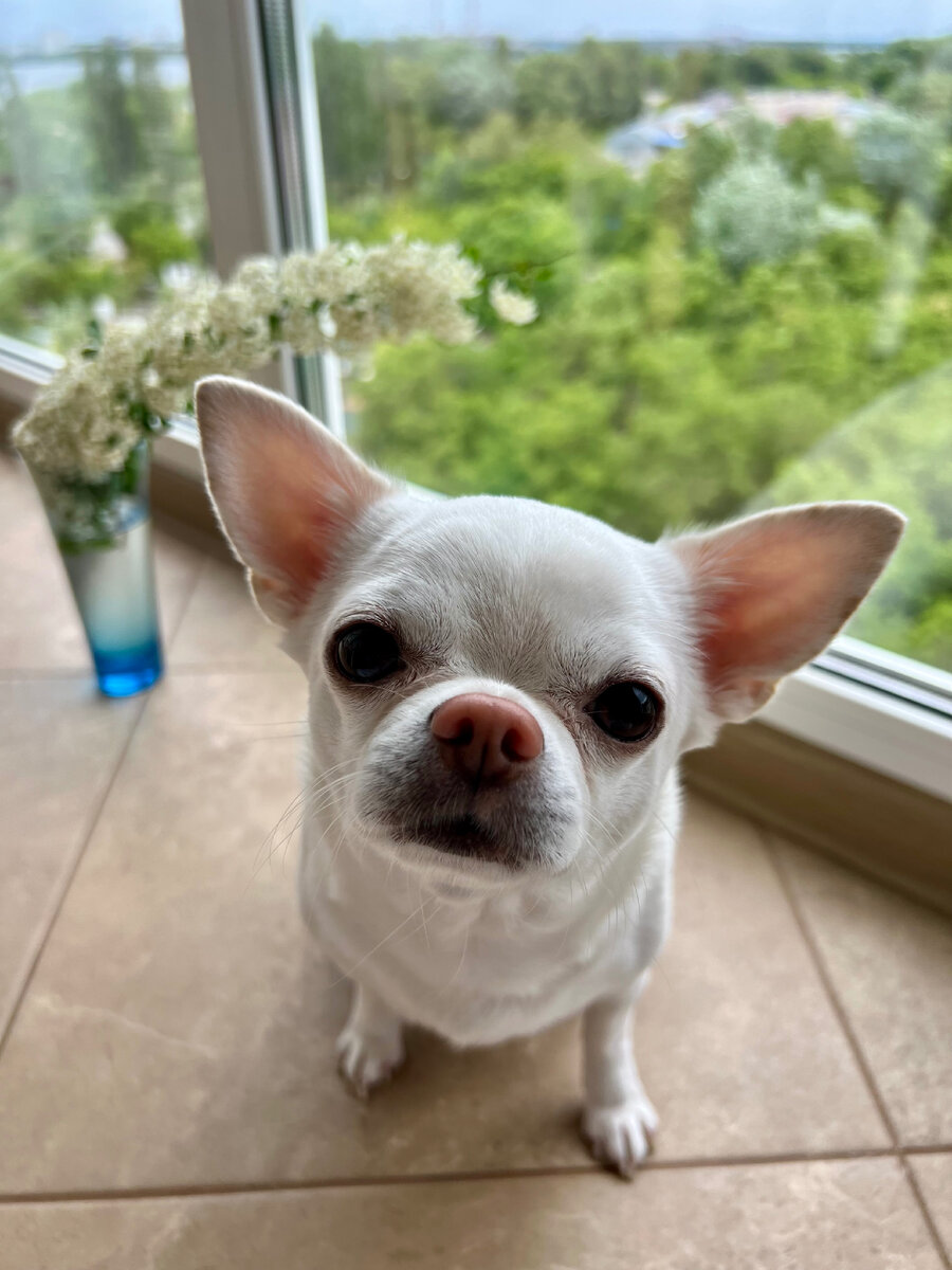 Наша Бусинка . Фото автора. 