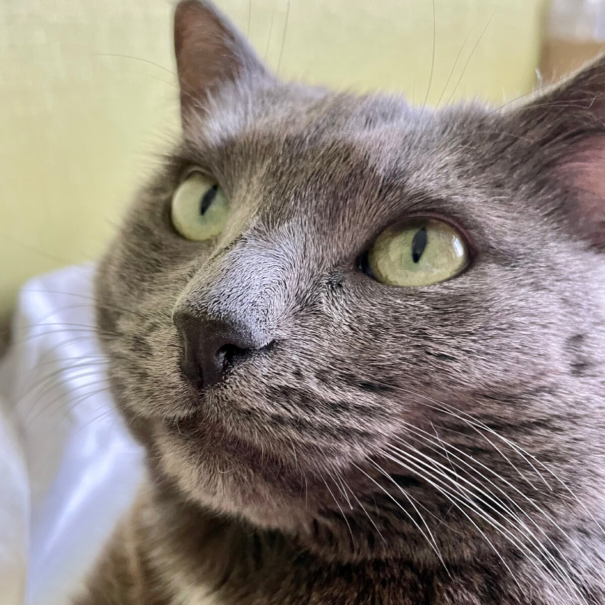 Да, именно так