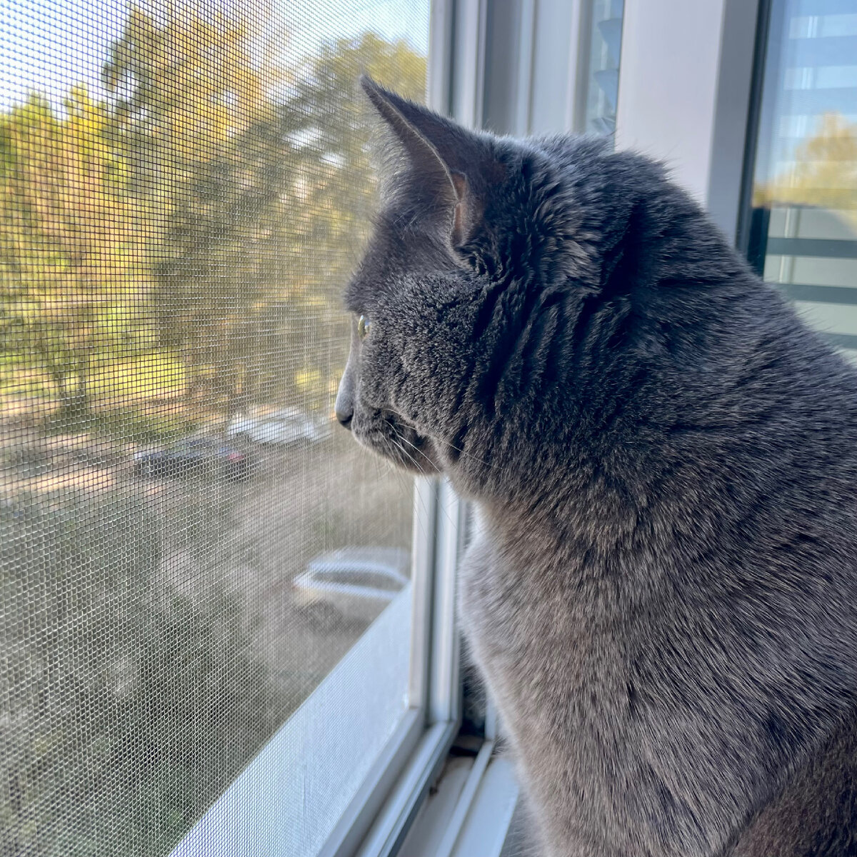 Обзор не надо загораживать 