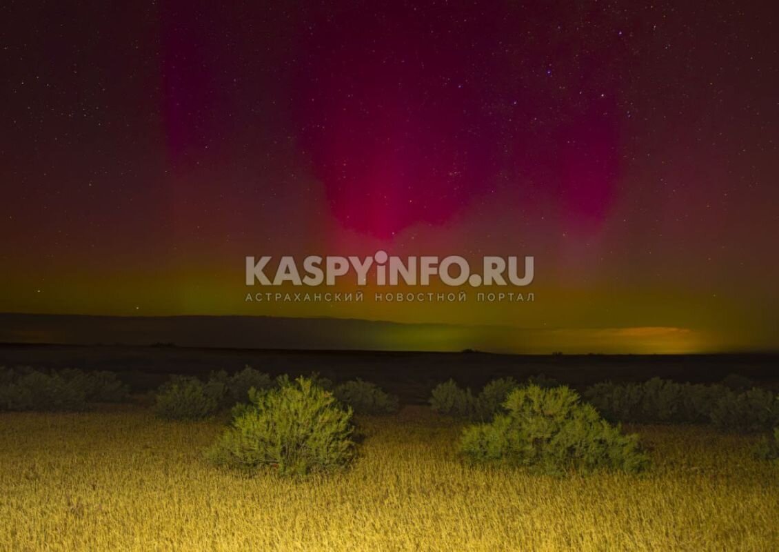 Фото: Л. Филоненко 