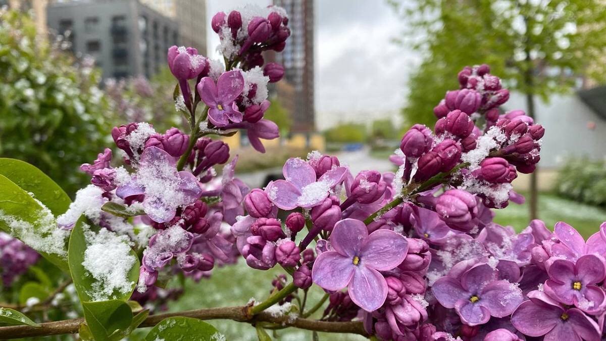    Фото: Александра Куликова / Вечерняя Москва