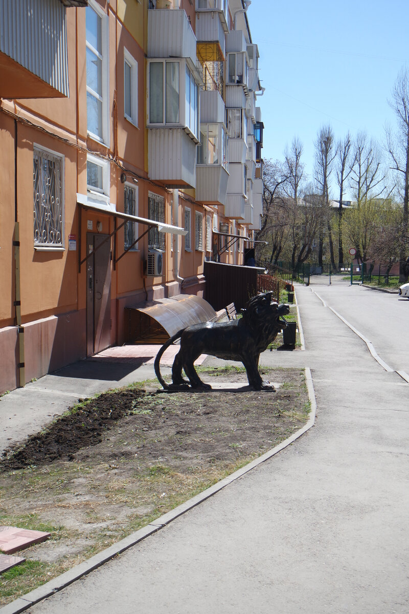 Крупка дубравная и фиалки в Центральном парке. Иркутск 11-го мая | Анна,  города и годы | Дзен