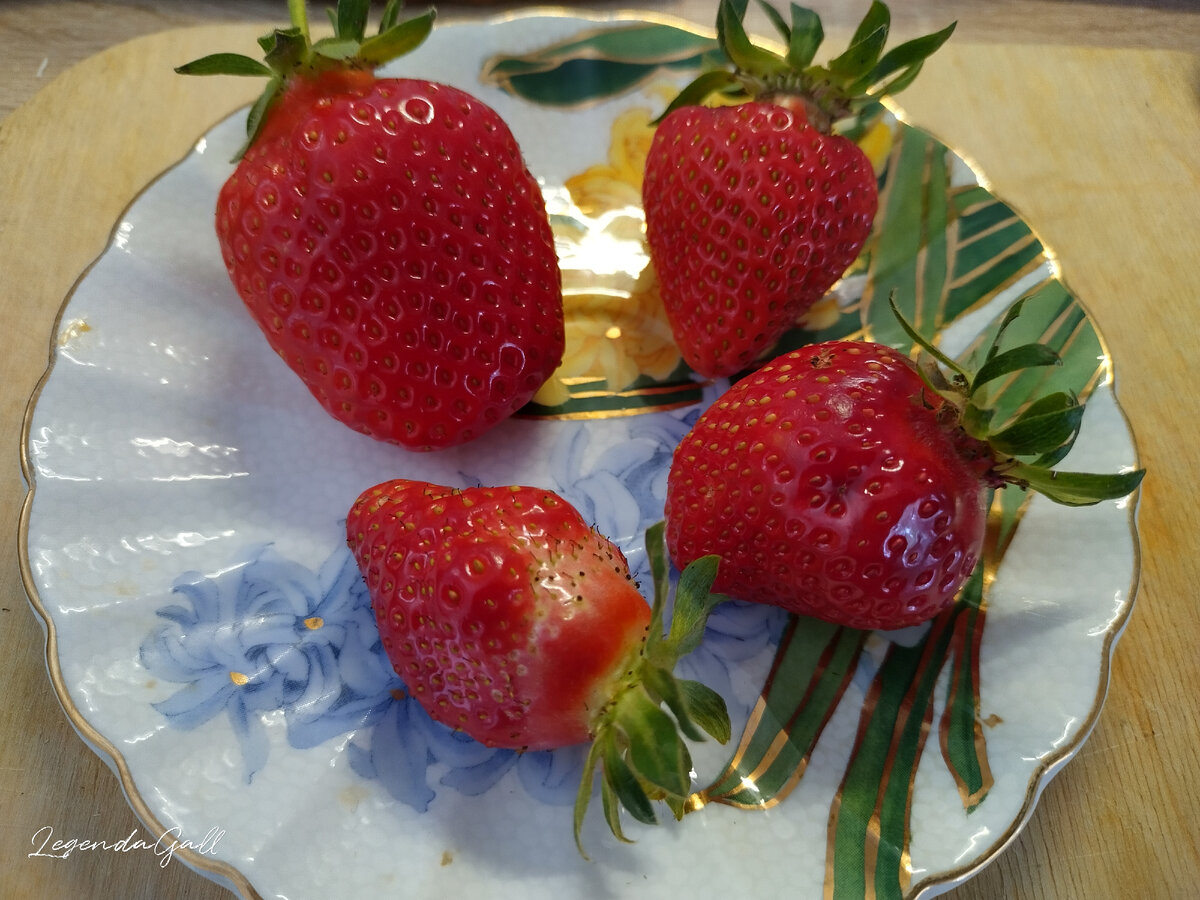 Первый урожай ))