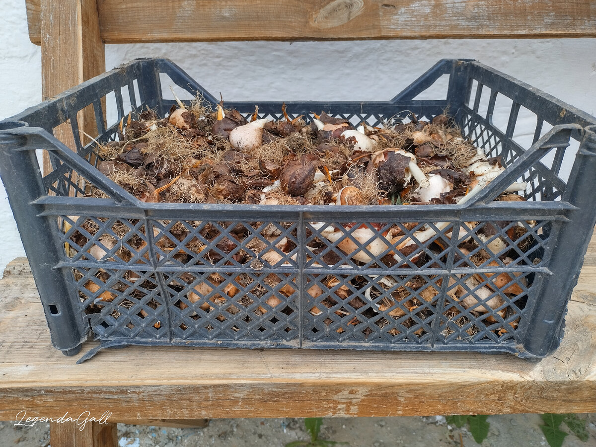 Тяжеленький такой...