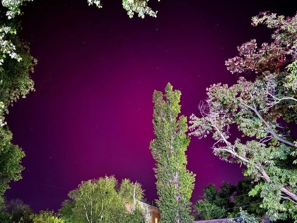    Лето будет очень странным Даниил Дьяченко.