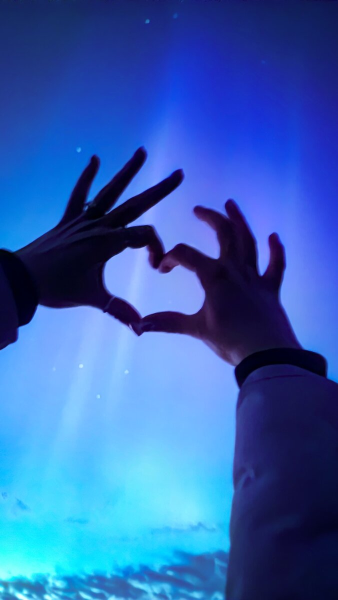    Фото: Удалова Ксения, Ленинградская область