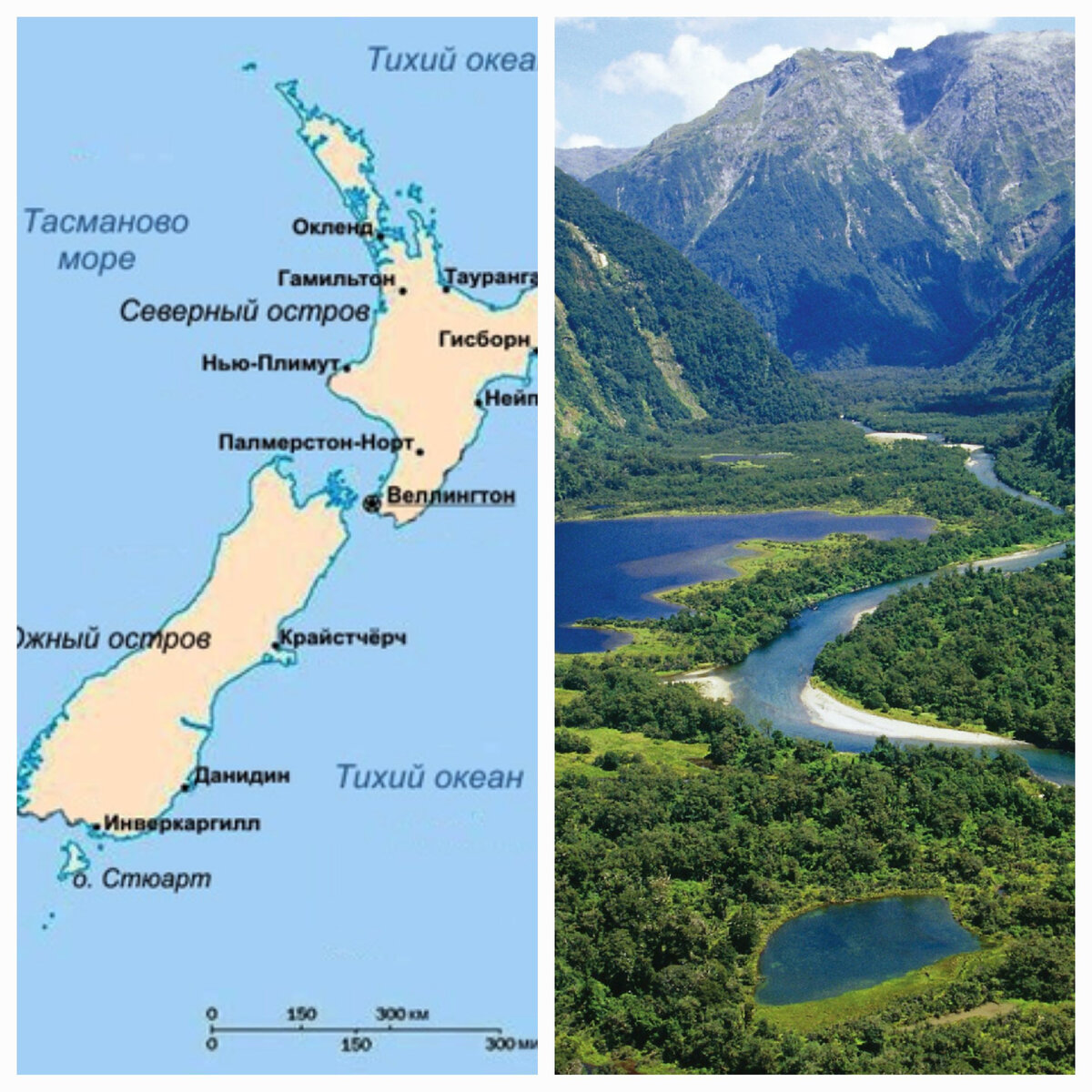 Новая Зеландия.