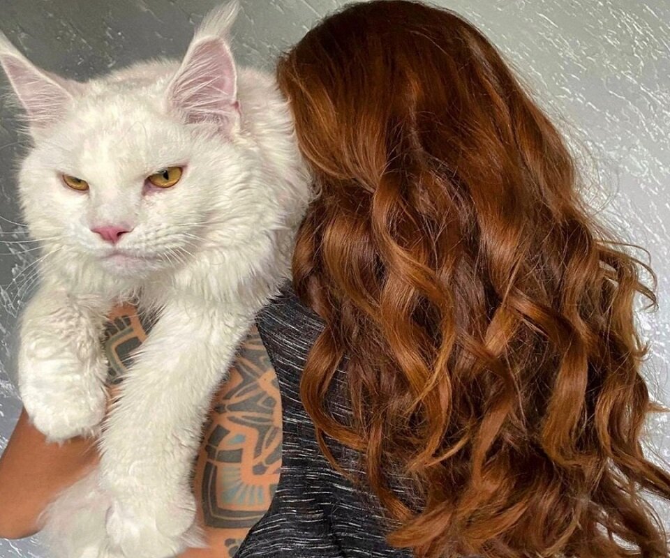 Тем, кто не верит в реальность размеров Кефира, стоит взглянуть на него с разных сторон