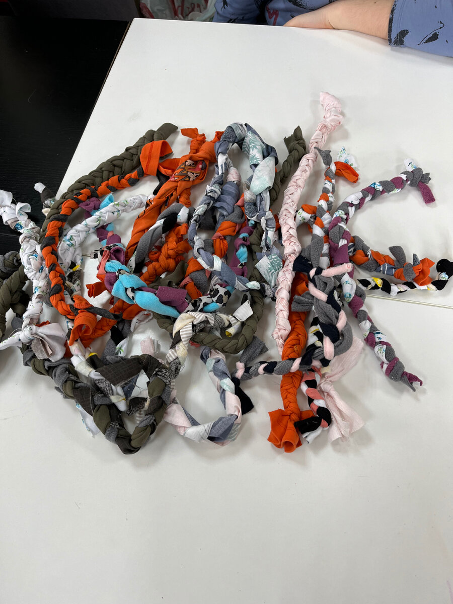 Игрушки для бездомных собак из приюта 