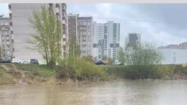     Источник: пресс-служба минприроды УР