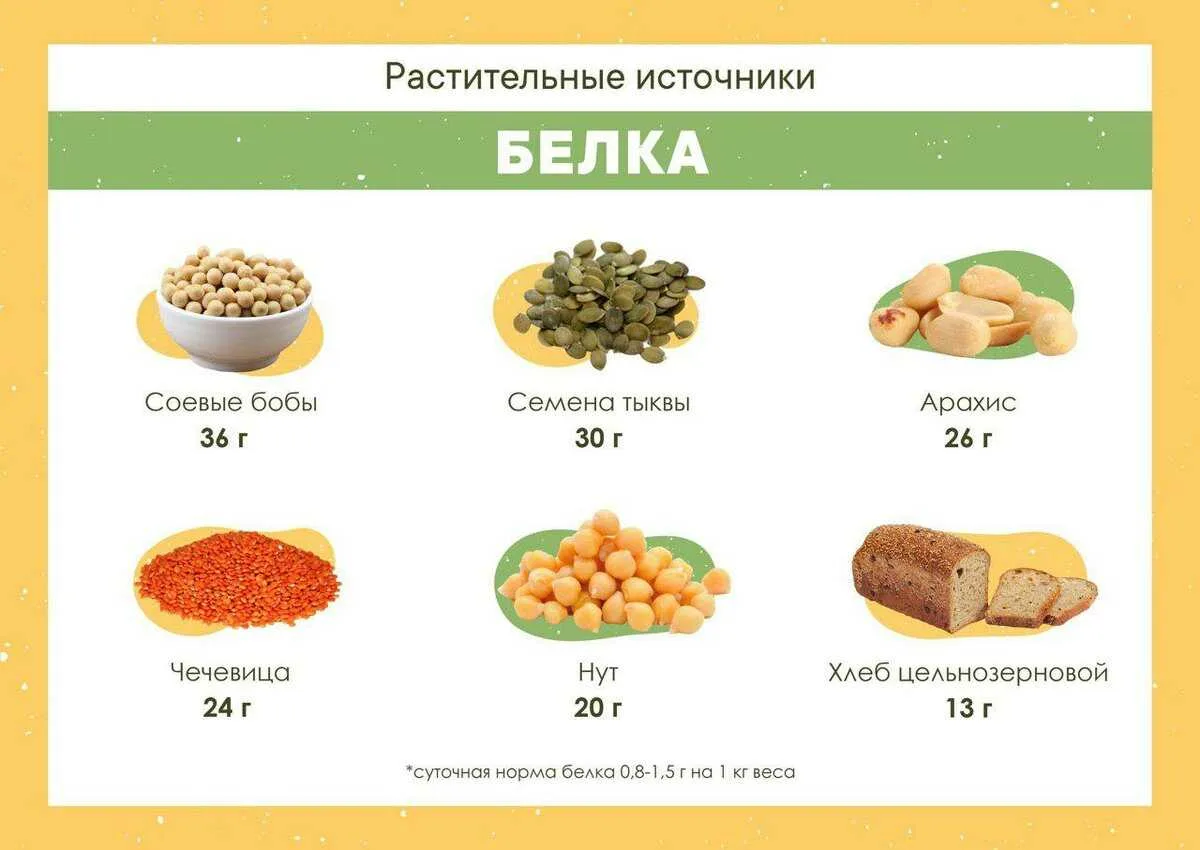 Сколько нужно съедать мяса в день CoffMachines.ru