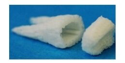 Пористый каркас зуба