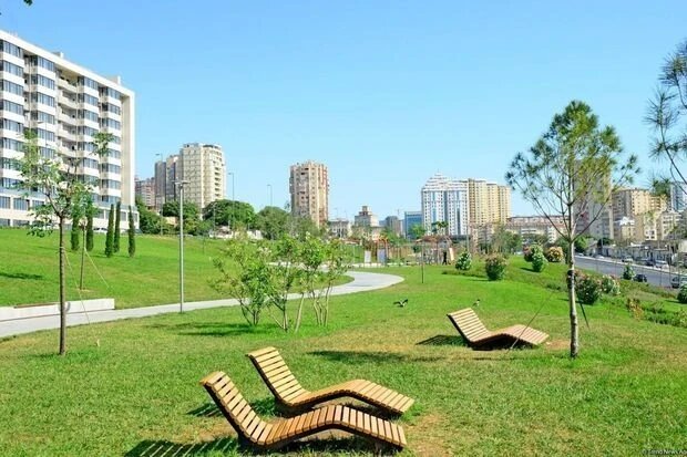 В Баку будет заложен еще один парк. Как сообщает iqtisadiyyat.az, новое место отдыха для жителей и гостей столицы будет расположено в Ясамальском районе, в обрамлении улиц С.Тагизаде, А.Шаига и Н.