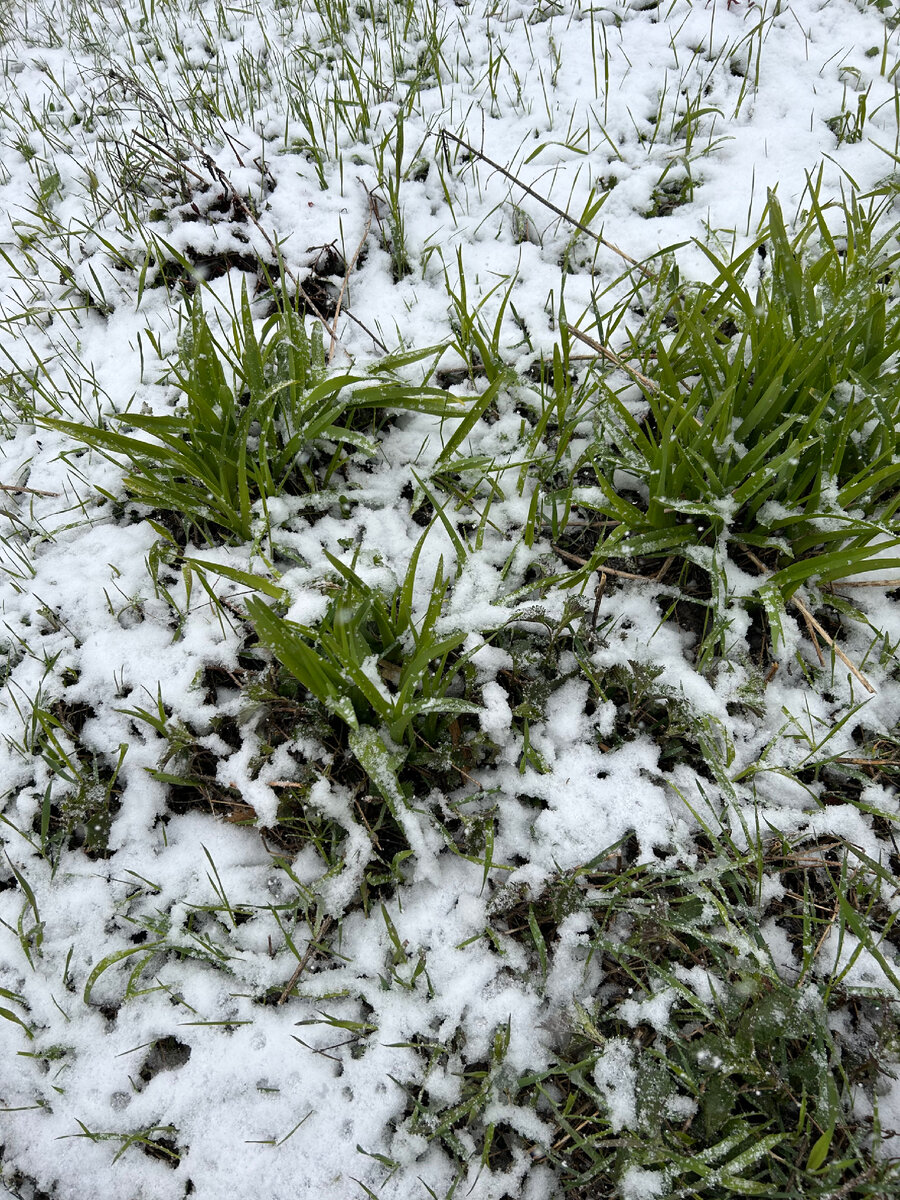 Мое утро сегодня…