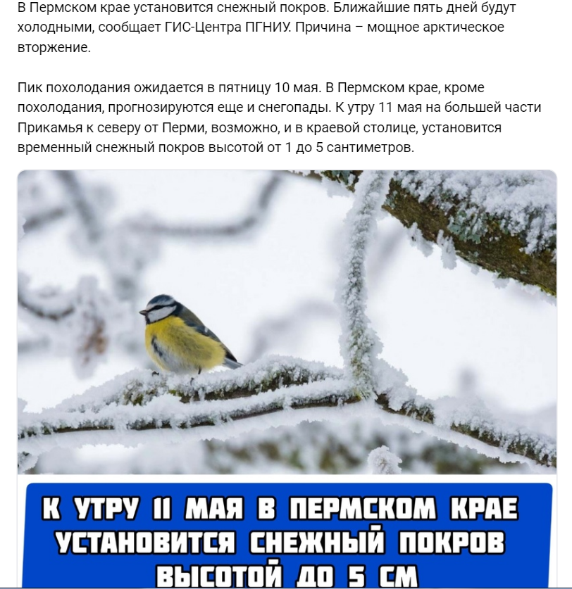 Снежный покров в мае... Вы серьезезно? 