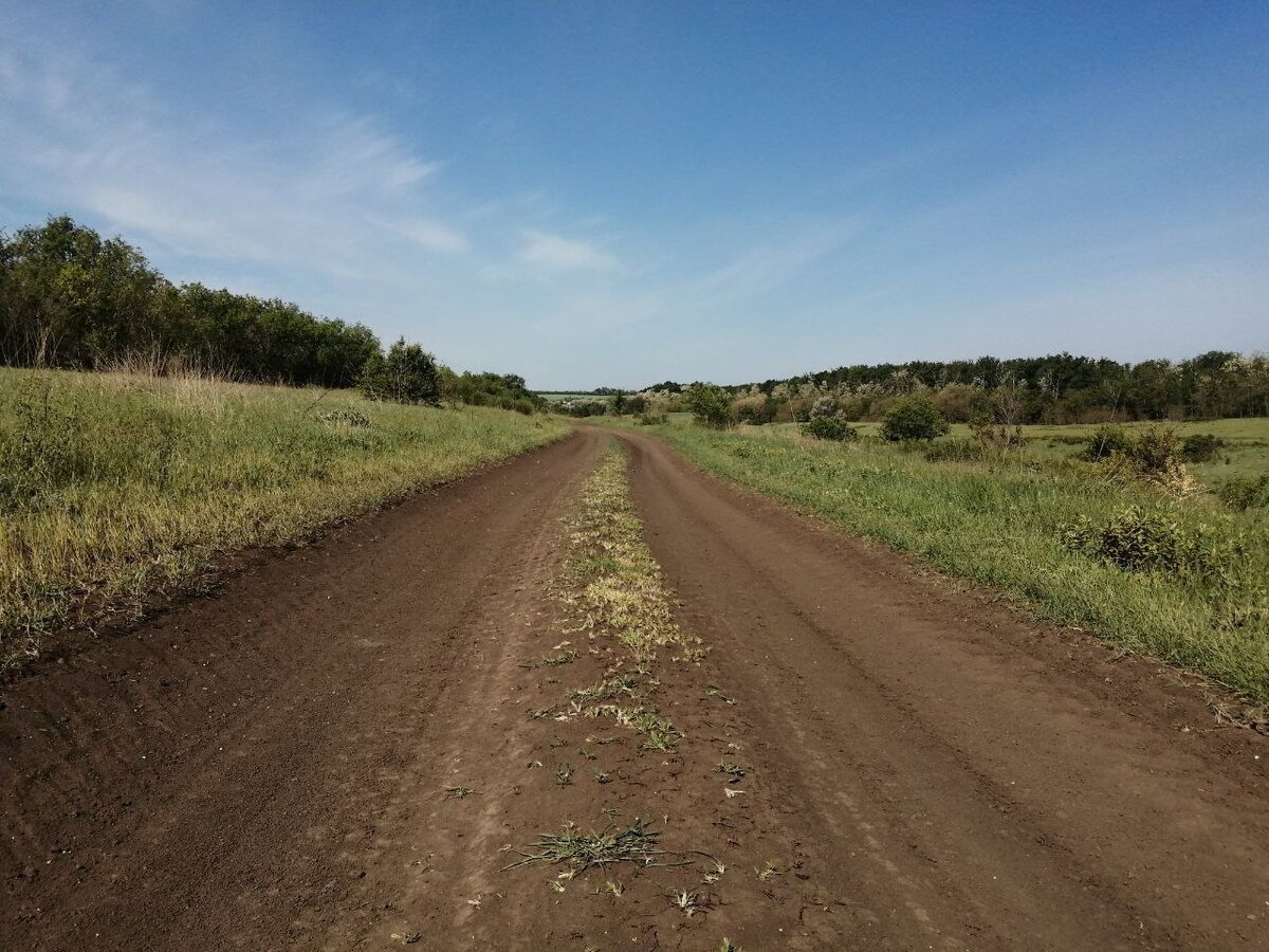 Дорога возле Горбатой балки.