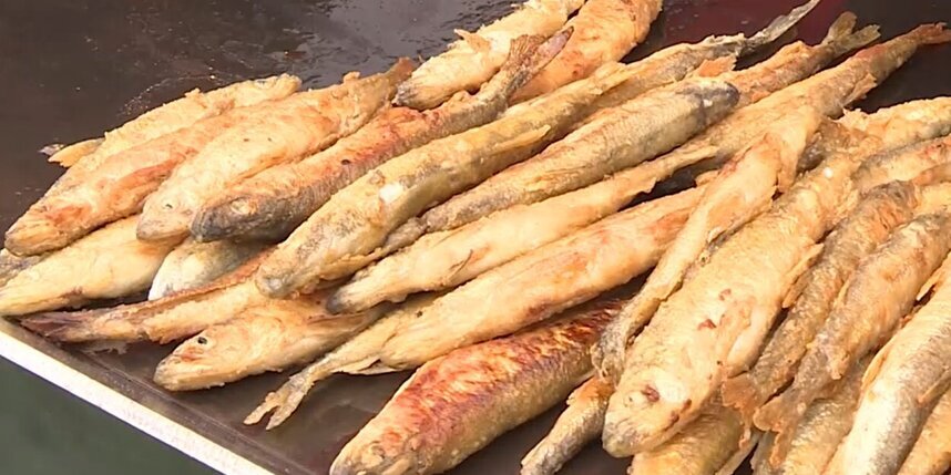    Фото: скриншот репортажа телеканала "Санкт-Петербург".