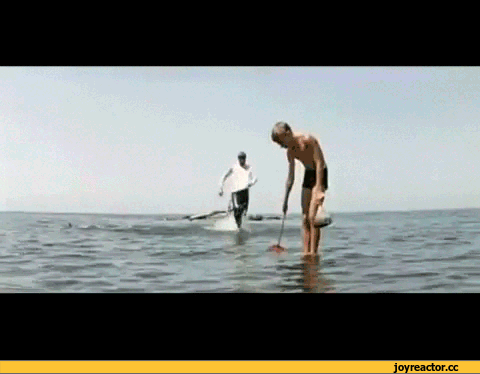 Когда сети растут и халявы становиться меньше)))))