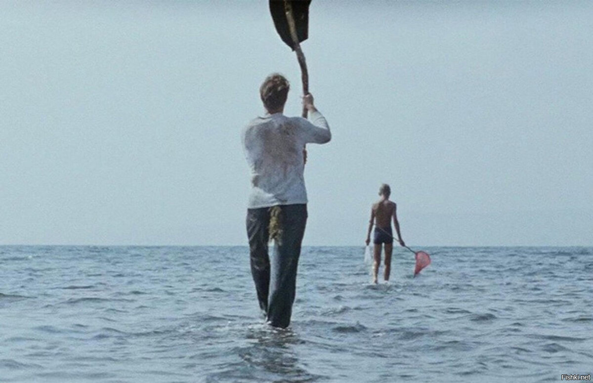 Это когда открываются новые площадки, сайты, сети))))