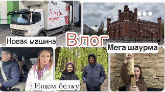 Семейный влог👨‍👩‍👧‍👦|| Новая машина 🚘 || Ищем белку 🤷‍♀️|| Пробуем мега шаурму 🫔||