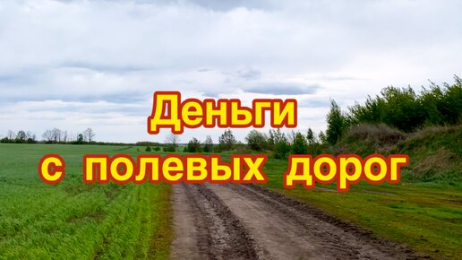 Полевые дороги помогают заработать! Прошелся по ним и не остался без находок