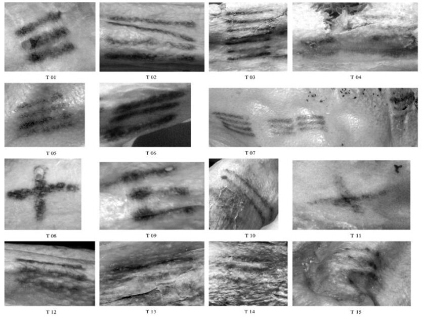 Фото: EURAC / M.Samadelli / M.Melis