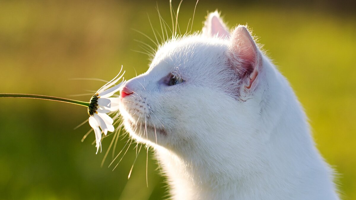 фото взято из свободных источников 