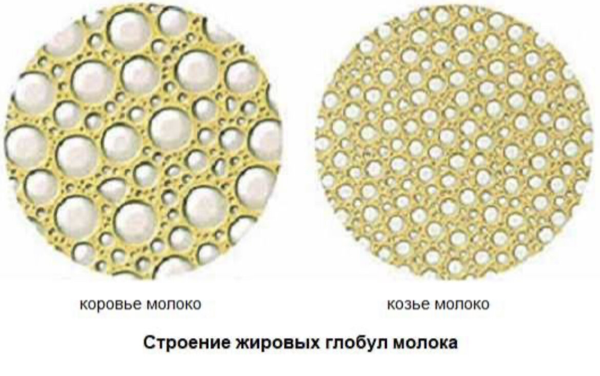 Из открытых источников 