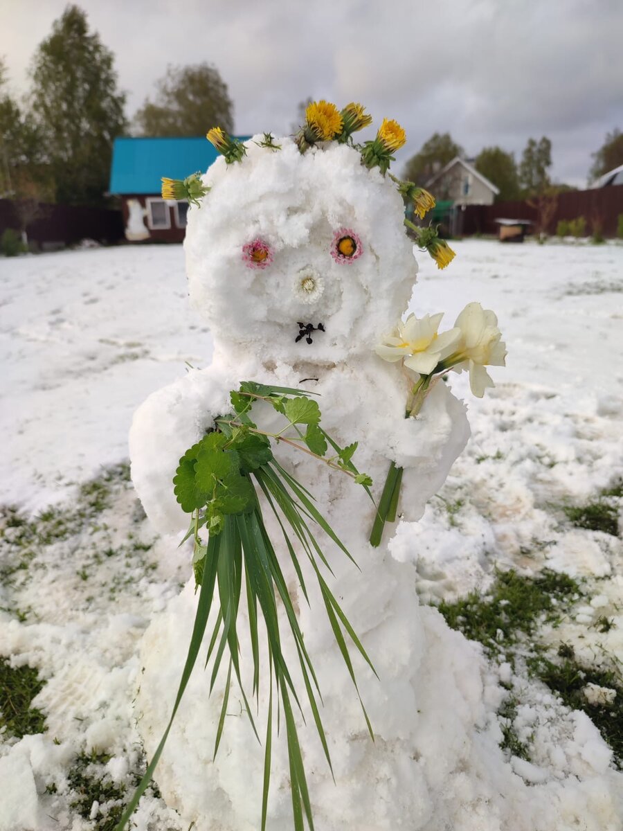 Майский снеговик