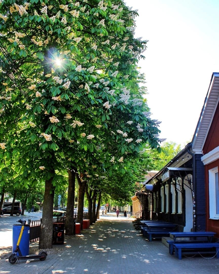 ул. Комиссаржевской (Тулиновская) 