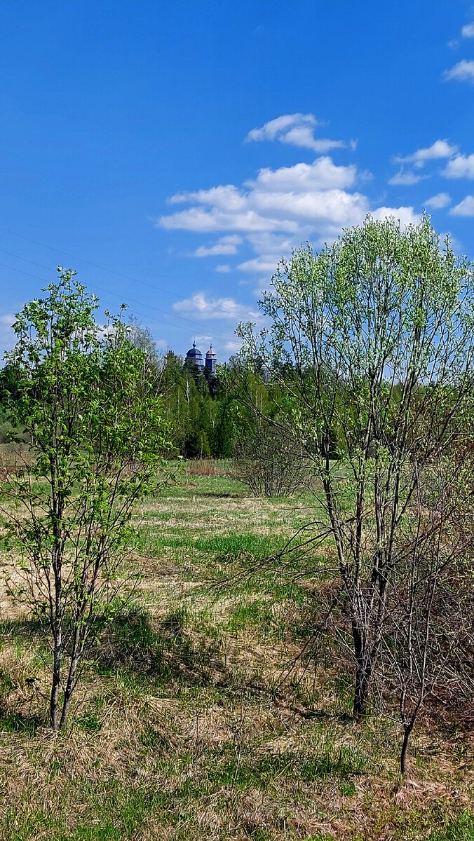 Вот так Храм смотрится издали