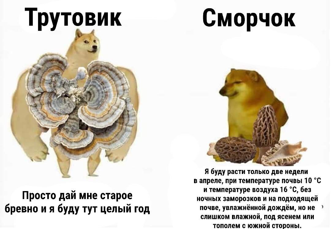 Трудовик и тут и там крут