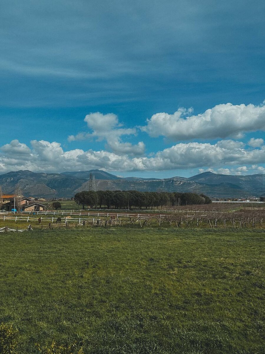 Виды из поезда по дороге в Неаполь из Рима.