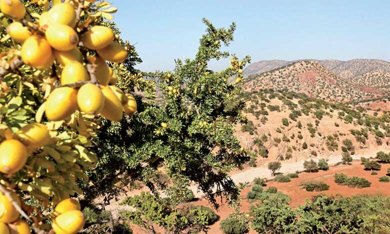 Изображение из открытых источников