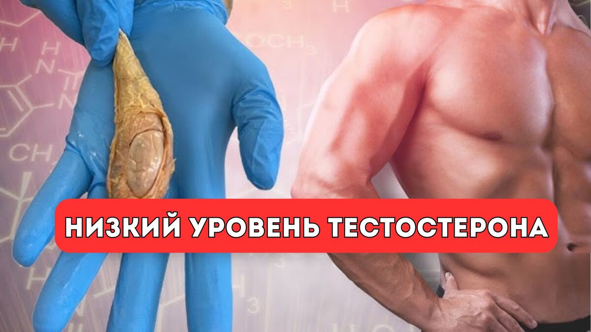 Урология » Проблема дефицита тестостерона и эректильной дисфункции у мужчин (обзор литературы)