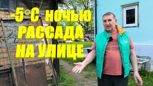 РАССАДА ПОГИБЛА? Уехали на 3 дня. Оставили РАСТИШКИ без присмотра В МОРОЗНЫЕ НОЧИ. Наша жизнь в деревне.