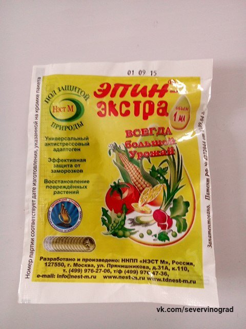 Эпин. Моё архивное фото с сайта 