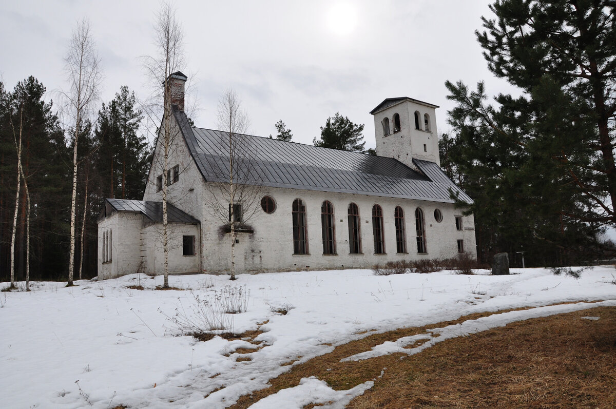 Фото взято из открытых источников 