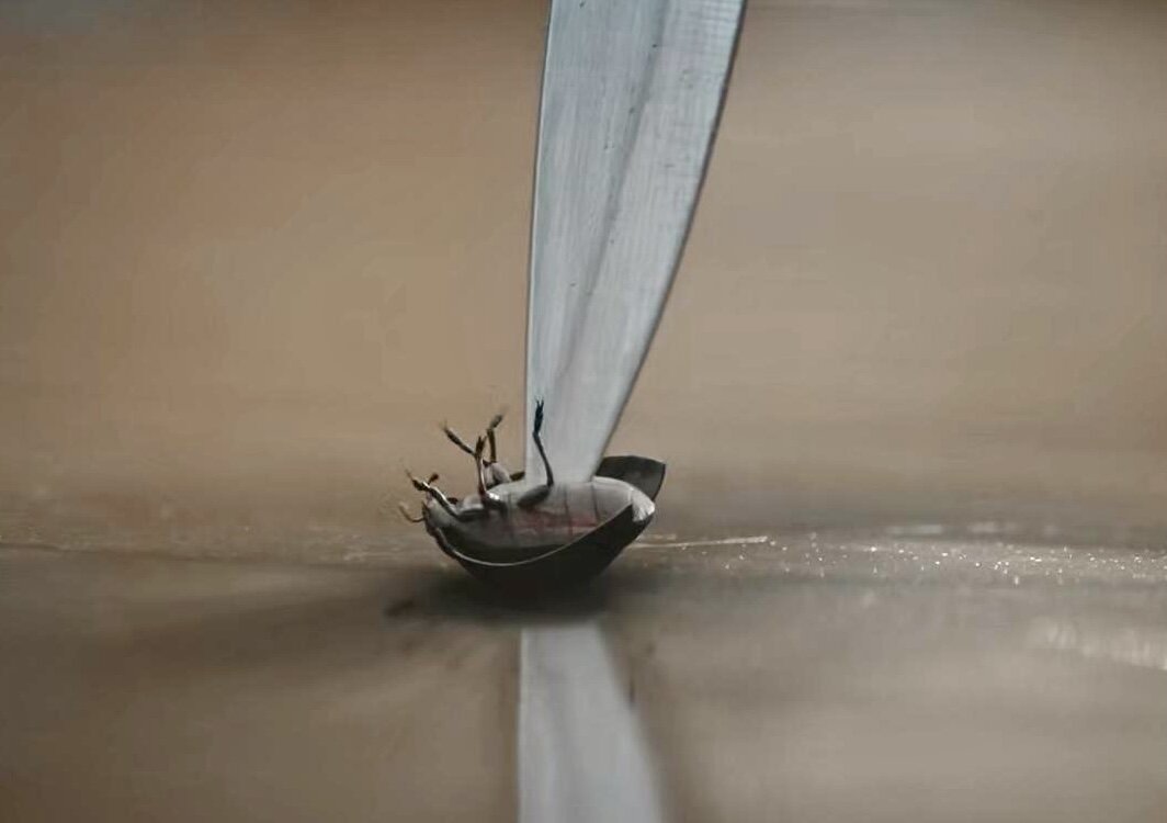 Триллер, преступление, детектив. Индия. 