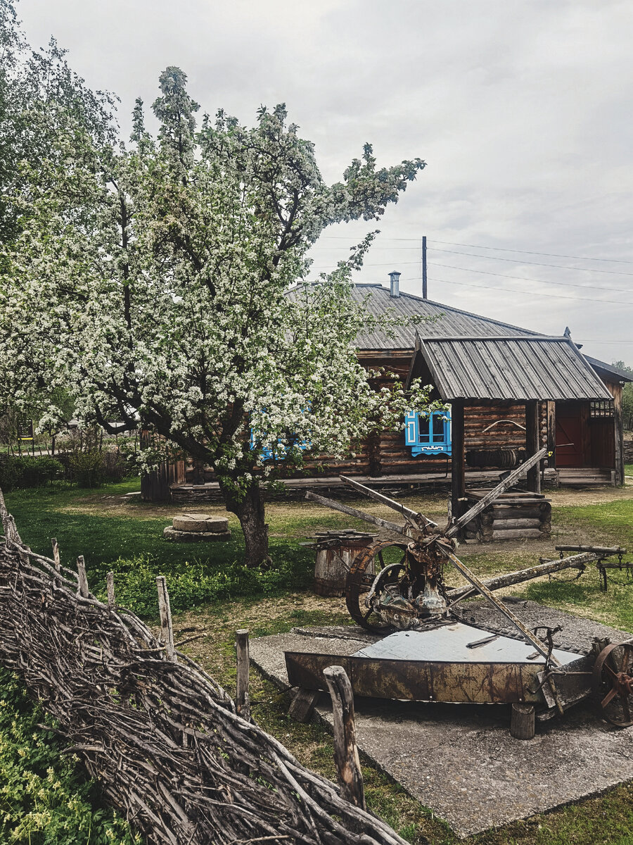 Дом, в котором вырос В.М. Шукшин