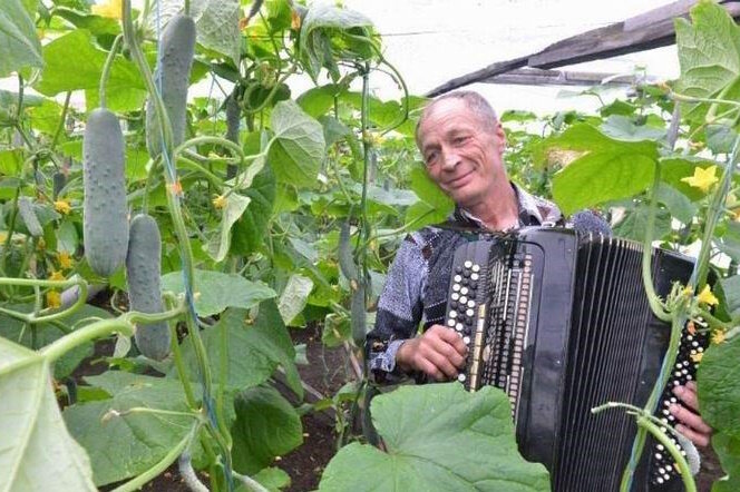 Валерий Даниленко обнаружил необычную закономерность.
Источник фото: https://esoreiter.ru/news/0516/pic-12-05-2016-2014391.jpg