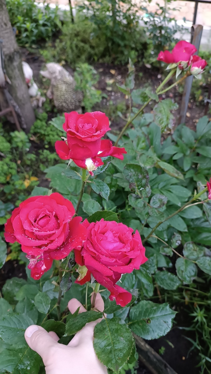 фото Валентины