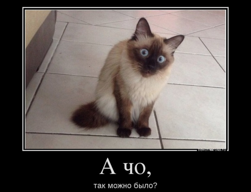 Ага, работает эта кухонная психология. Психика всегда на стороне человека, никогда не против, надо дать ей шанс справиться, подкинуть соломинку. А уж там ум как-то вывернется, и вы буквально почувствуете себя самым умным и мудрым, а не жалкой лужецей соплей с эклером в руке.