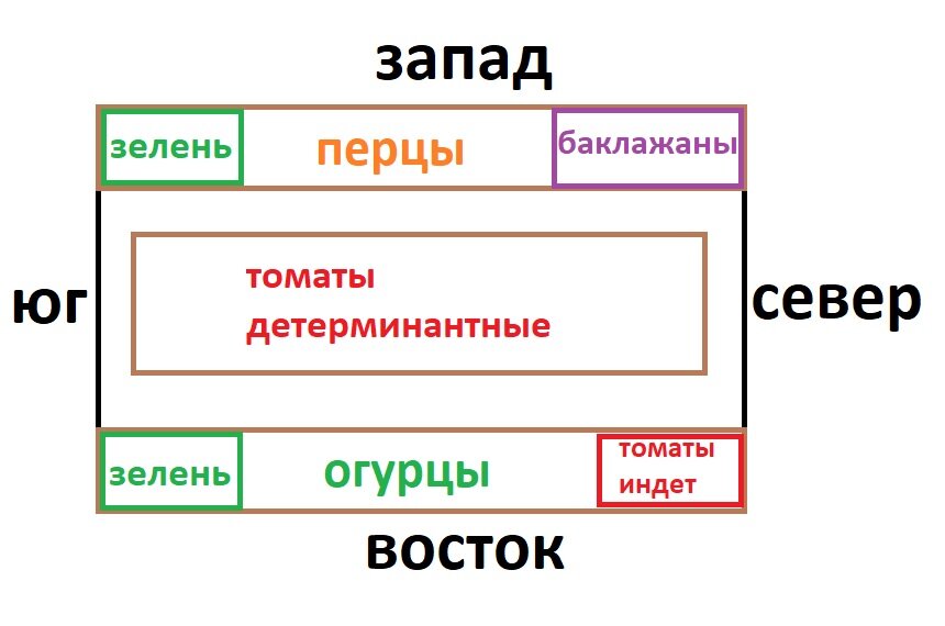 Схема посадки в моей теплице