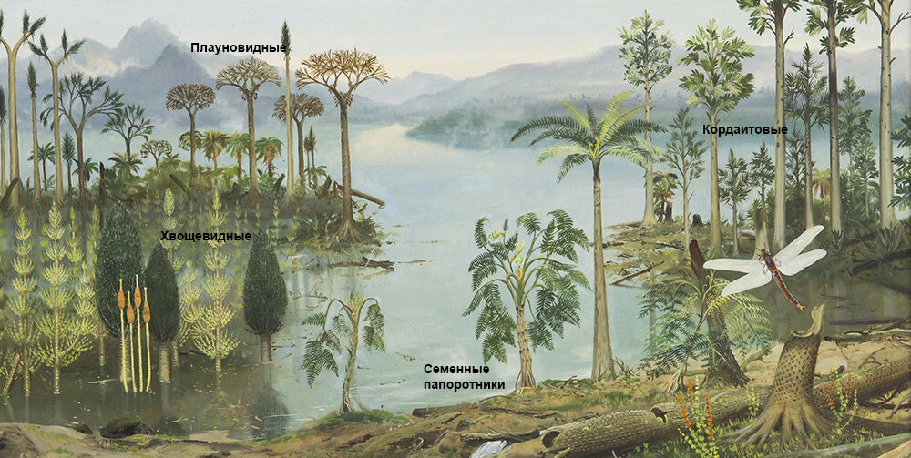 Реконструкция палеозойского ландшафта.